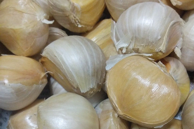 마늘