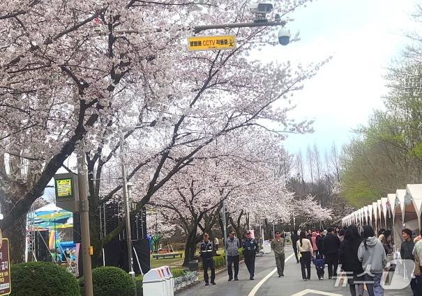 김제꽃빛드리축제를 즐기고 있는 시민들./뉴스1