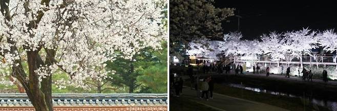 사진 왼쪽부터 천안 각원사 벚꽃, 원성천 벚꽃 / 사진 = 한국관광공사, 천안시
