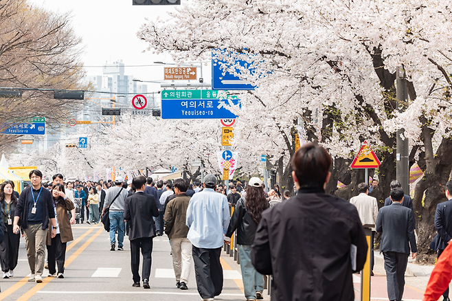 영등포 여의도 봄꽃축제 / 사진= 영등포구청