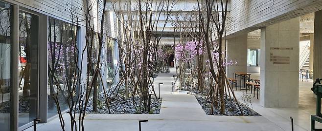 박봉담키친과 스마트팜 사이 중정을 만들어 개방감과 계절감을 느낄 수 있도록 설계했다. 박윤희 기자