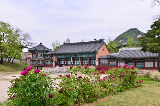 모란이 핀 경복궁 집옥재.