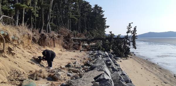 강화군 볼음도 남쪽 영뜰해변 2023.1 [사진=장정구 기후생명정책연구원 대표]
