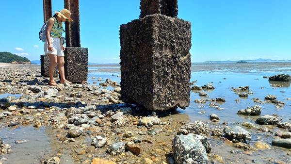 옹진군 장봉도 옹암해변 갯벌전망대 지지대 2023.8 [사진=장정구 기후생명정책연구원 대표]&nbsp;