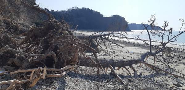 옹진군 대이작도 큰풀안해변 2023.2 [사진=장정구 기후생명정책연구원 대표]