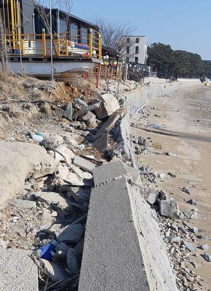 인천중구 영종도(용유도) 마시안해변 2023.2 [사진=장정구 기후생명정책연구원 대표]&nbsp;