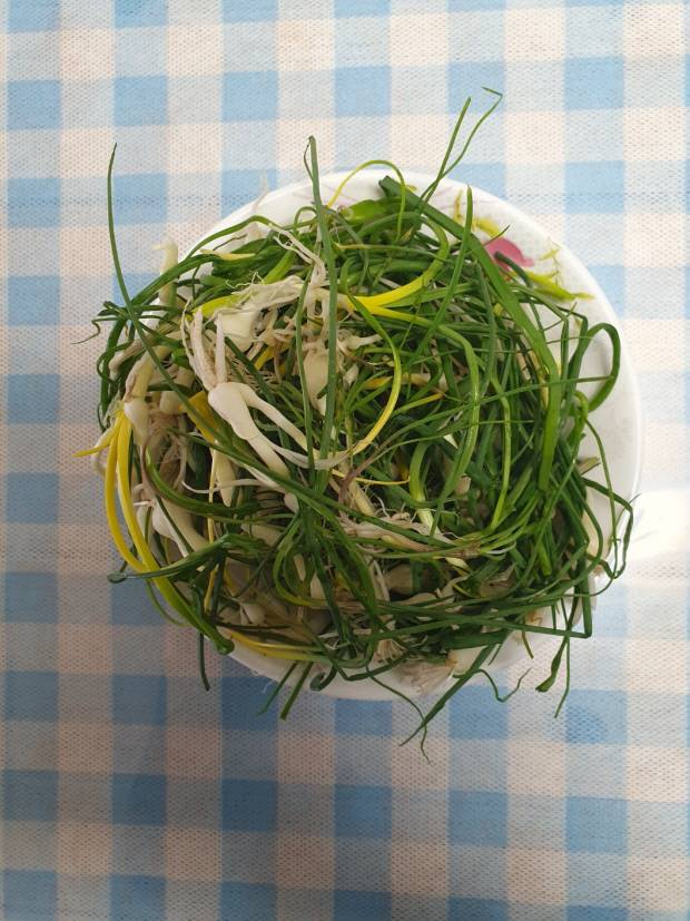 손질한 달래.