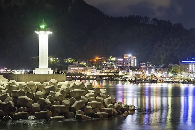 밤에도 꺼지지 않는 울릉 저동항의 불빛. 울릉군은 청년 소상공인들의 경영 부담을 덜어주기 위해 파격적인 임차료 지원에 나선다. /황진영 기자