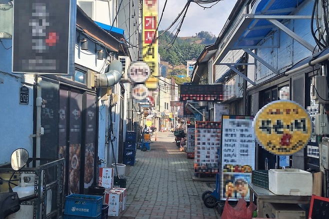 섬 지역 특성상 높은 물류비와 임대료 등 이중고를 겪고 있는 울릉도 저동항 인근의 한 먹자골목 전경. 이곳에서 일하는 청년 사장님들의 월세 부담이 이번 지원사업으로 조금이나마 덜어질 전망이다. /황진영 기자