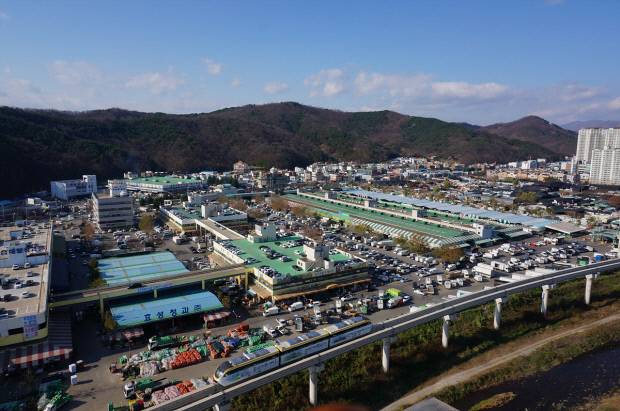 2032년 달성 하빈면 이전이 예정된 대구농수산물도매시장이 '온라인도매시장 통합물류센터 시범사업' 대상지로 선정돼 디지털 물류 혁신에 날개를 달게 됐다. 대구농수산물유통관리공사 제공