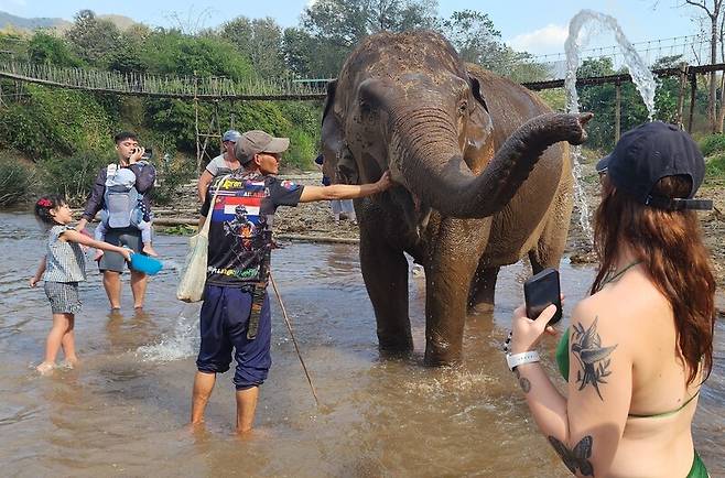 2000년대 들어 ‘공정 여행’ 바람이 불면서 대세로 떠오른 코끼리 목욕시키기 체험. 동물복지적으로 훌륭한 관찰형 시설도 늘고 있지만, 절대적인 수는 여전히 적다. 남종영 제공