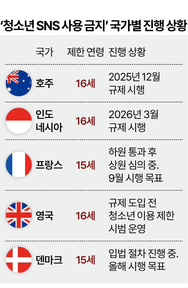 '청소년 SNS 사용 금지' 국가별 진행상황. 그래픽=박종범 기자