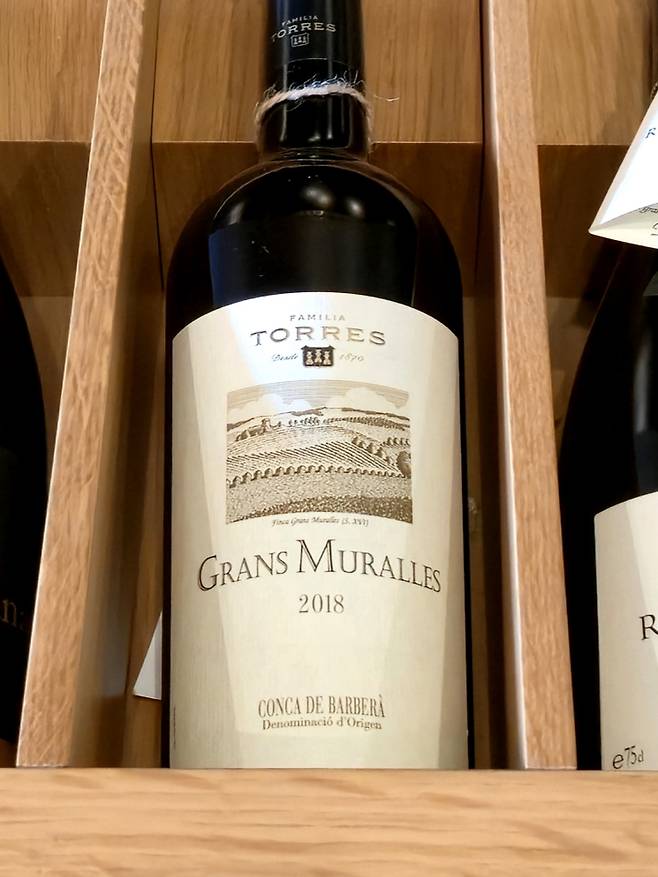 그란스 무라예스. 최현태 기자