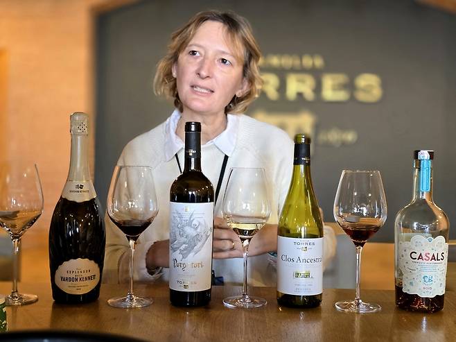 토레스의 다양한 와인을 소개하는 홍보담당자. 최현태 기자