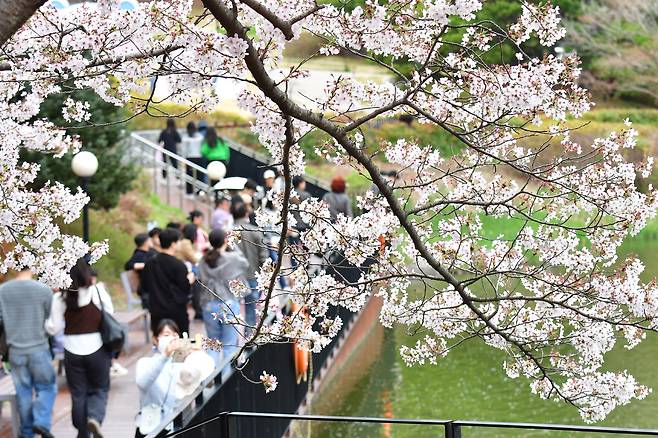 5일 경북 포항시 남구 지곡동 영일대 호수공원에서 시민들이 벚꽃나무 아래에서 휴일을 보내고 있다. 뉴스1