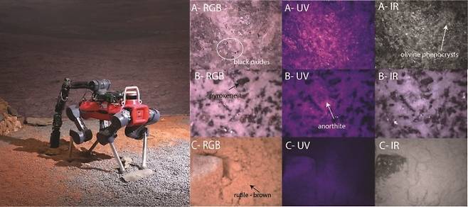 애니멀이 탐사한 암석 샘플들. Dr. Gabriela Ligeza