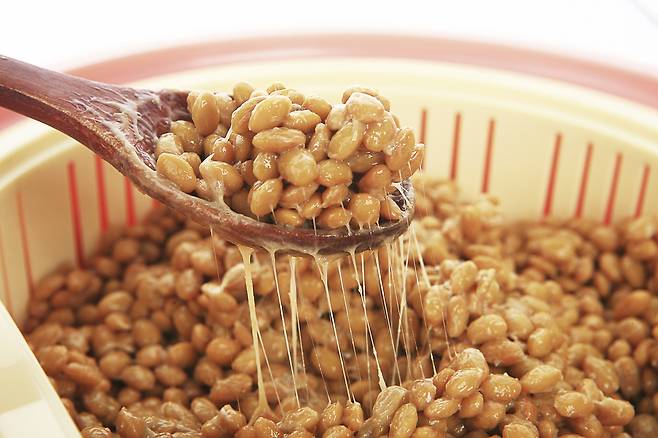 클립아트코리아