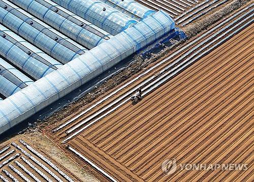 비닐 수급 대란에 부담 커진 농가 [연합뉴스 자료사진]