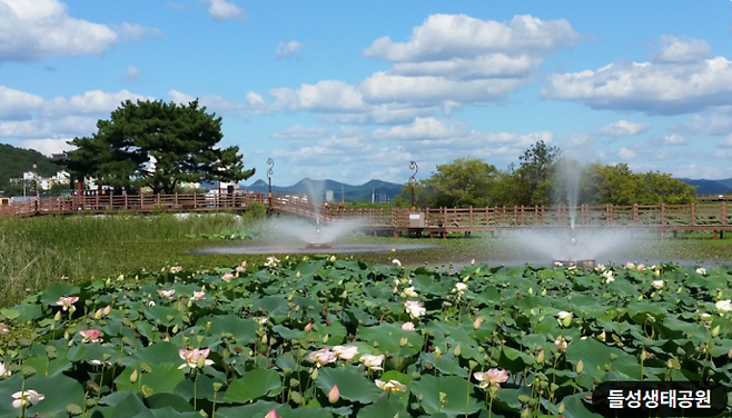경북 구미시 고아읍에 자리한 들성생태공원 전경. <고아읍 제공>