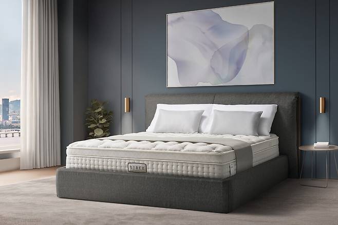 코웨이 비렉스 그레이스 프레임. / 사진=코웨이