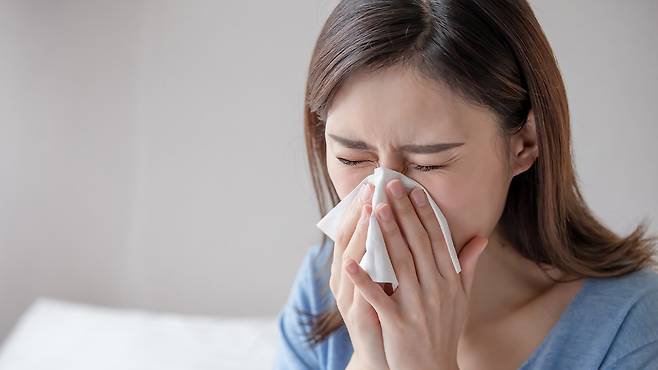 비중격만곡증은 물리적인 뼈가 휘어 있는 상태라 코막힘 증상이 연중 지속되기 쉽다｜출처: 클립아트코리아