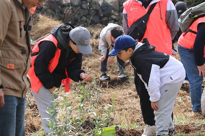 비양도 올리브나무 식수 행사(한국관광공사 제공)