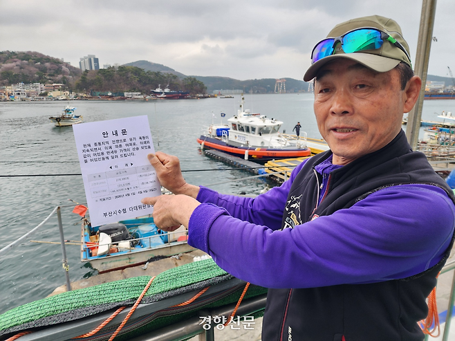 1일 부산 사하구 다대 위판장에서 양정복 부산시수협 이사가 인상된 유가를 보여주고 있다. 김준용 기자