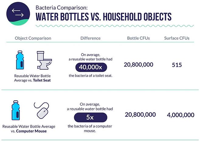 미국 워터필터구루닷컴의 실험에서 일반 텀블러에서 검출한 세균은 일반 변기 시트보다 4만 배 많았다. [워터필터구루닷컴 제공]