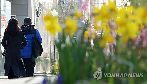 꽃샘추위 [연합뉴스 제공]
