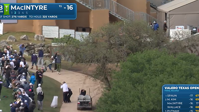 맥킨타이어의 샷이 페어웨이 오른쪽, 네이티브 에어리어로 빠졌다. PGA 투어