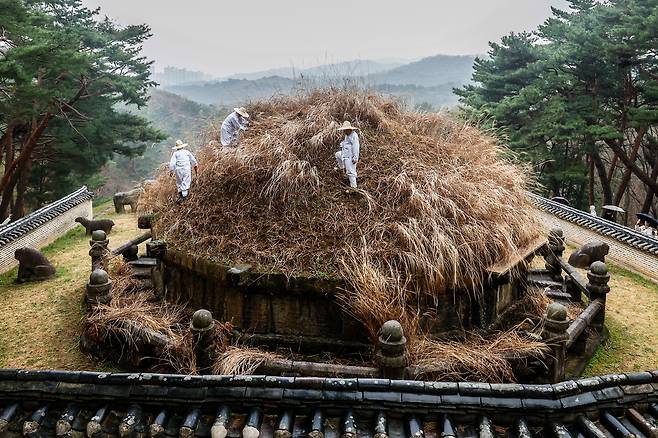 절기상 한식(寒食)인 6일 경기 구리시 동구릉 내 태조 이성계의 건원릉(健元陵)에서 동구릉 관리사무소 관계자들이 봉분을 덮고 있는 억새를 자르는 ‘청완 예초의(靑薍 刈草儀)’를 거행하고 있다.