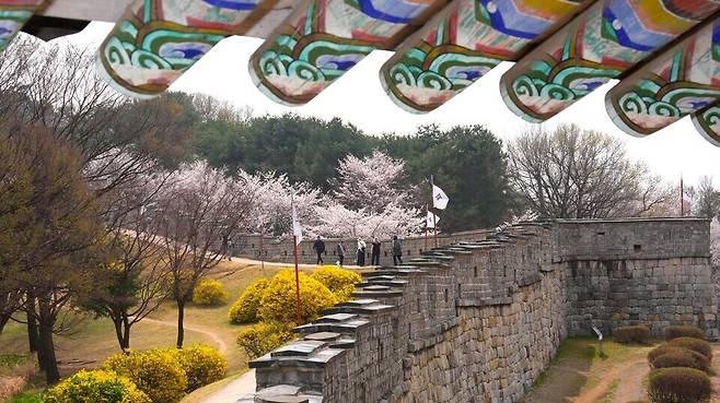 ▲ 수원화성 서북각루에서 서장대 방향으로 올라가는 길을 바라보는 모습. /사진제공=수원특례시