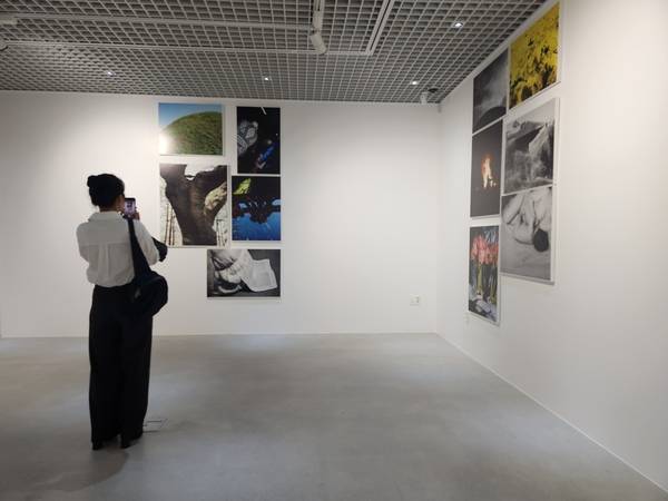 진주 PAC 갤러리에서 30일까지 이언경 개인전 <태양 아래 죽은 거목 등을 꺾어 매미-울고>가 열린다. 한 관람객이 작품을 감상하고 있다. /류민기 기자