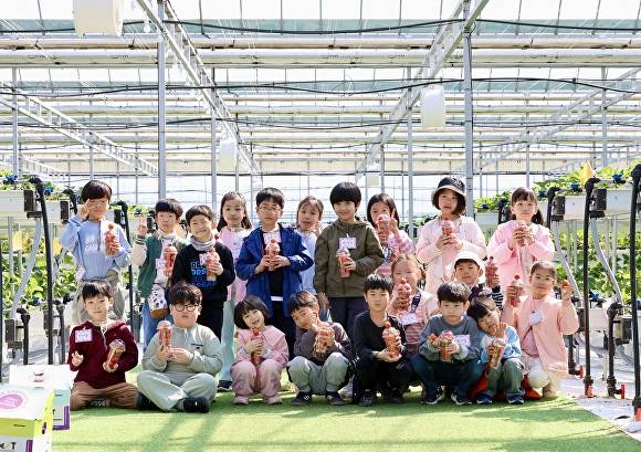 괴산 장연·감물·목도초 학생들이 7일 딸기농장에서 공동 체험 활동을 한 뒤 기념 사진을 찍고 있다. [사진=괴산증평교육지원청]