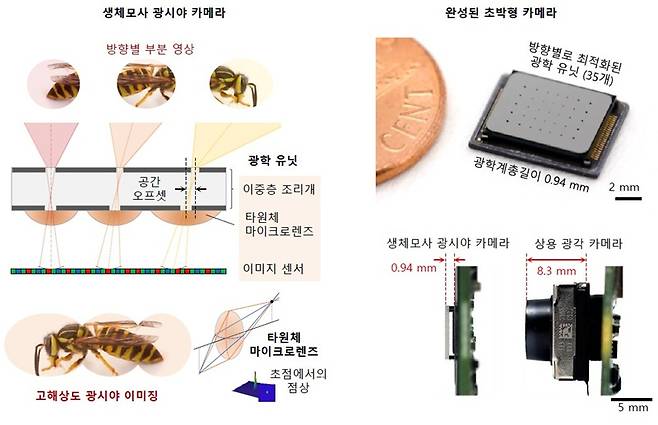 곤충의 겹눈 시각 원리를 모사한 카메라 구조 개념도와 제작된 초박형 카메라 사진. 여러 개의 마이크로렌즈가 서로 다른 방향의 장면을 나누어 촬영하고, 이를 디지털 영상 결합 과정을 통해 하나의 영상으로 재구성한다. 렌즈마다 서로다른 공간 오프셋을 가진 이중층 조리개와 타원체 마이크로렌즈 설계를 적용해 넓은 시야에서도 초점을 유지하도록 했다. 제작된 카메라는 총 광학 길이 0.94 mm의 두께를 가지며, 동전과 비교해 매우 얇은 초소형 구조임을 확인할 수 있다. KAIST