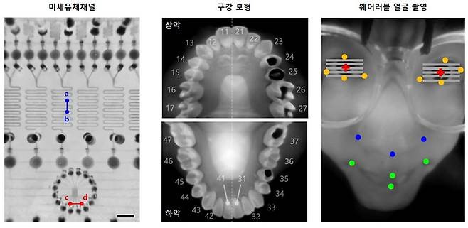 근거리에 미세유체 채널 (피사체와의 거리: 20 mm), 구강 모형 (30 mm), 인체 얼굴 (50 mm) 등 실제 대상을 촬영한 결과. 좁은 공간에서도 넓은 영역을 한 번에 관찰할 수 있으며, 시야 위치가 변해도 화면 전반에서 균일한 선명도를 유지함을 확인했다. KAIST