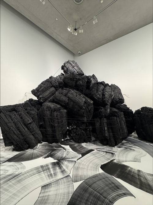 뮤지엄산에 전시된 '블랙'. 정유정 기자