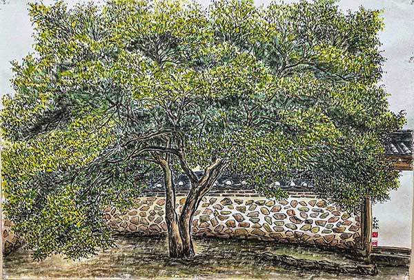 여주 효종대왕릉 회양목.110×76cm 한지에 수묵담채. 경기도 여주 효종대왕릉(영릉) 재실 안마당에 위치한 천연기념물 회양목은 재실의 역사와 함께한 나무다.