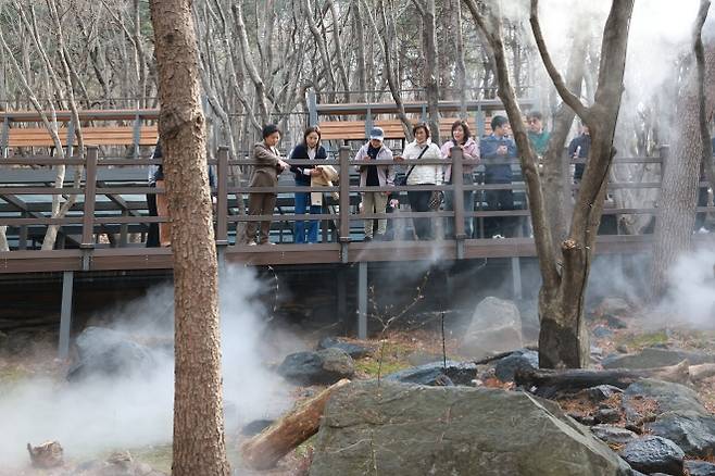 김미경(왼쪽 첫 번째) 은평구청장이 응암동의 숲 체험 공간 ‘백련산 꿈마을 숲정이’ 현장을 점검하며 이끼가 조성된 곳을 가리키고 있다. 은평구 제공