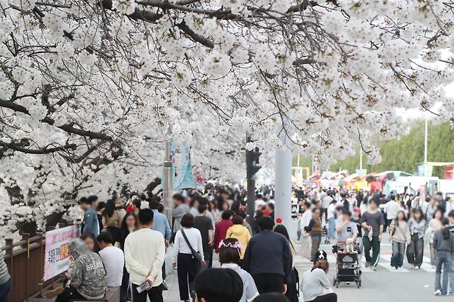 청주예술제 야외행사 [청주시 제공. 재판매 및 DB금지]