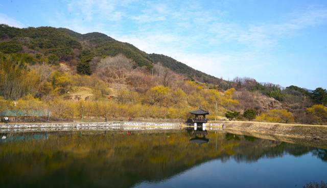 구례 산동 현천 저수지. 산동은 지리산 서쪽 끝, 만복대의 깊은 산자락에 자리한다. 천혜의 자연환경을 가진 곳으로 산수유 집산지다. 산동골의 3월은 마치 물 번짐 효과의 노란 물감으로 퍼져 있는 한 폭의 수채화 그림으로 이루어진다. 산도 물도 마을도 사람도 온통 노란색으로 채워진 환상적인 풍광이다./사진작가 각로 박혜란/