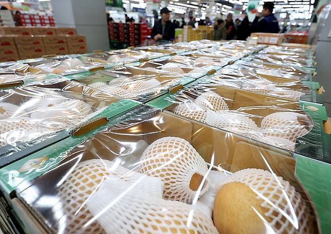 배가 진열돼 있다. 뉴시스