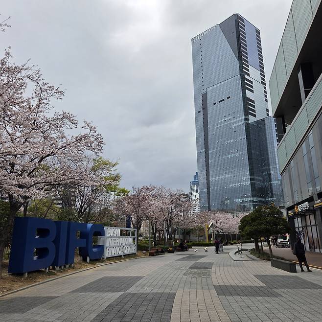 지난달 31일 오후 한산한 부산 남구 문현금융로.(김이현 기자)