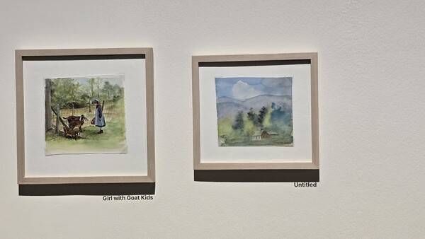 사진= 김호이 기자