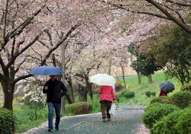 6일 광주 북구 양산호수공원에서 시민들이 내리는 비에 우산을 쓰고 걷고 있다. [광주=연합뉴스]