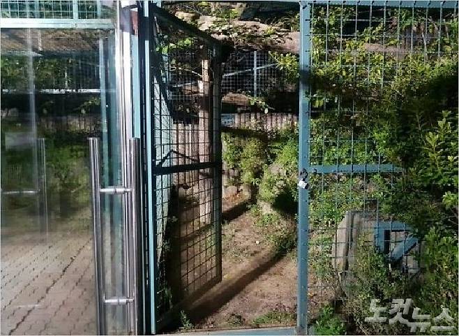 퓨마가 탈출한 사육장