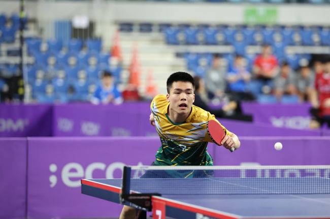 대한탁구협회 제공