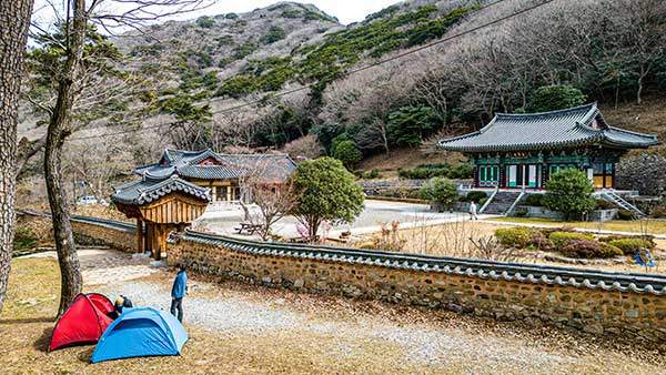 두륜산은 꽃샘추위로 봄이 들지 못한 살풍경이지만, 고즈넉한 백화암에는 홍매화가 수줍게 피어있다.