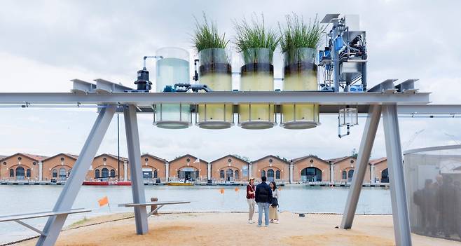 지난해 베니스 건축 비엔날레에서 황금사자상을 받은 캐널 카페(Canal Café) 출처: 딜러 스코피 & 렌프로