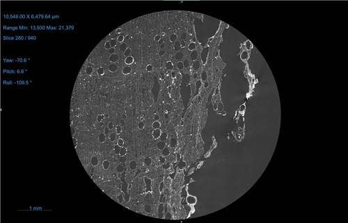 원통모양 청동기의 나무 자루(밤나무) 횡단면  [국립김해박물관 제공. 재판매 및 DB 금지]